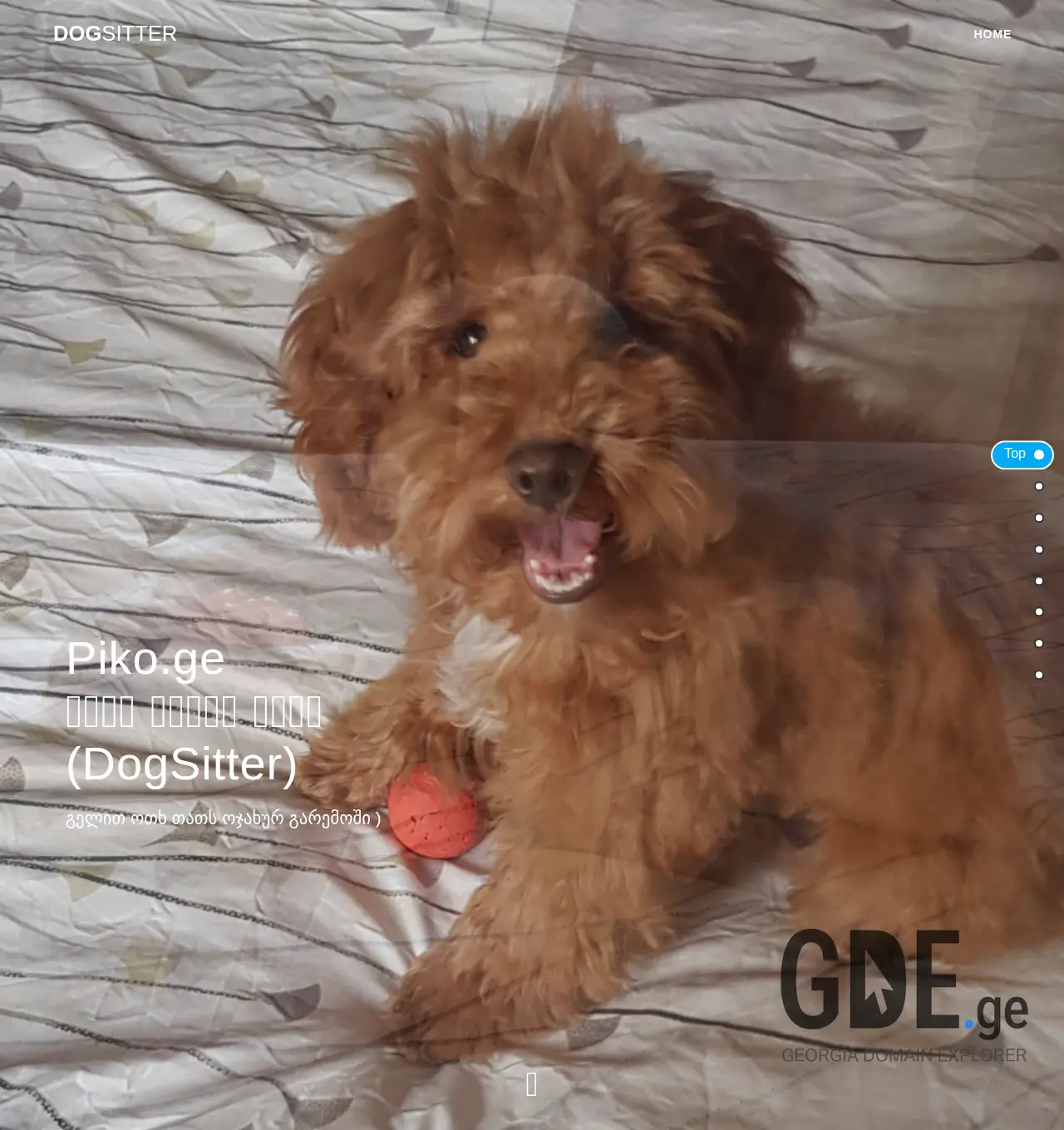 Screenshot of the site piko.ge at 2025-11-30