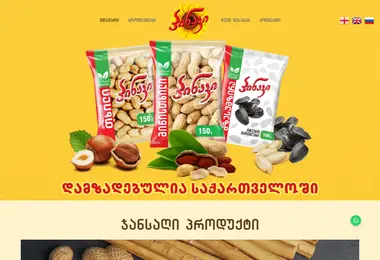 Screenshot of pinaki.ge
