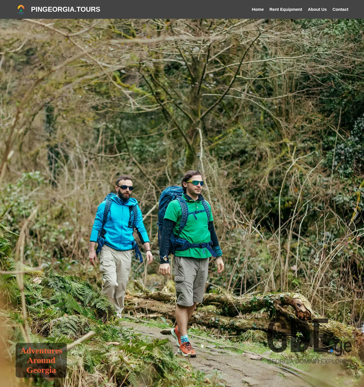 Screenshot of the site pingeorgia.ge at 2025-12-01