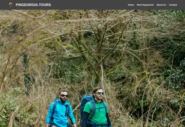 Скриншот pingeorgia.ge
