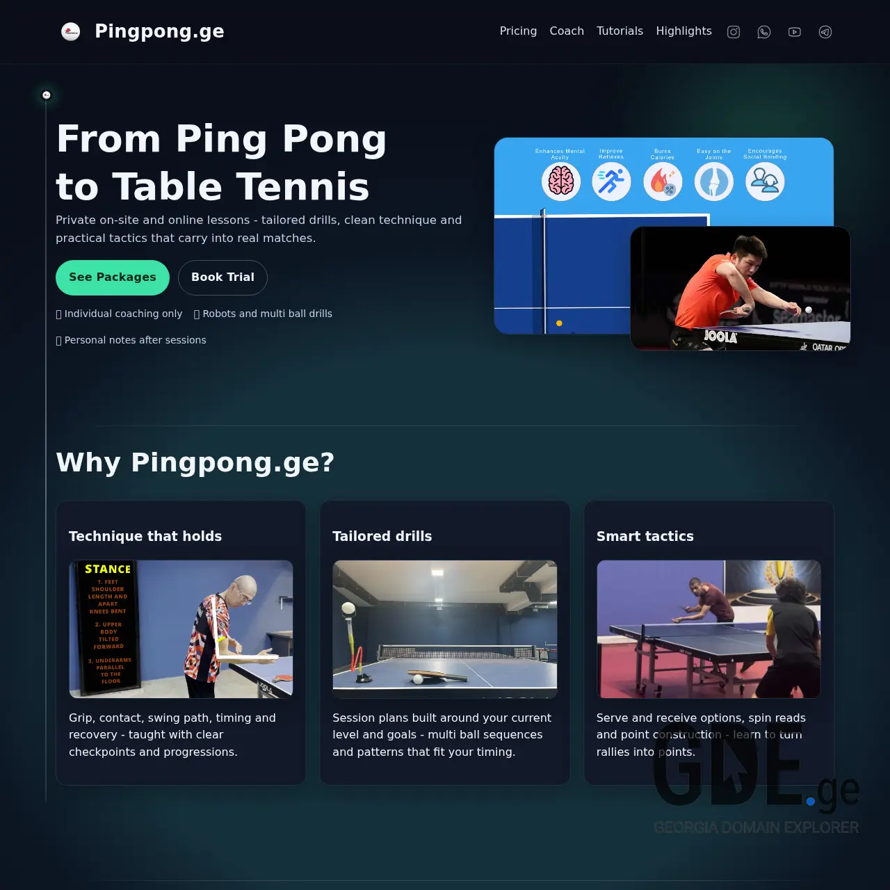 Screenshot of the site pingpong.ge at 2025-12-14