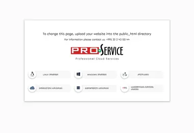 Screenshot of pinoil.ge