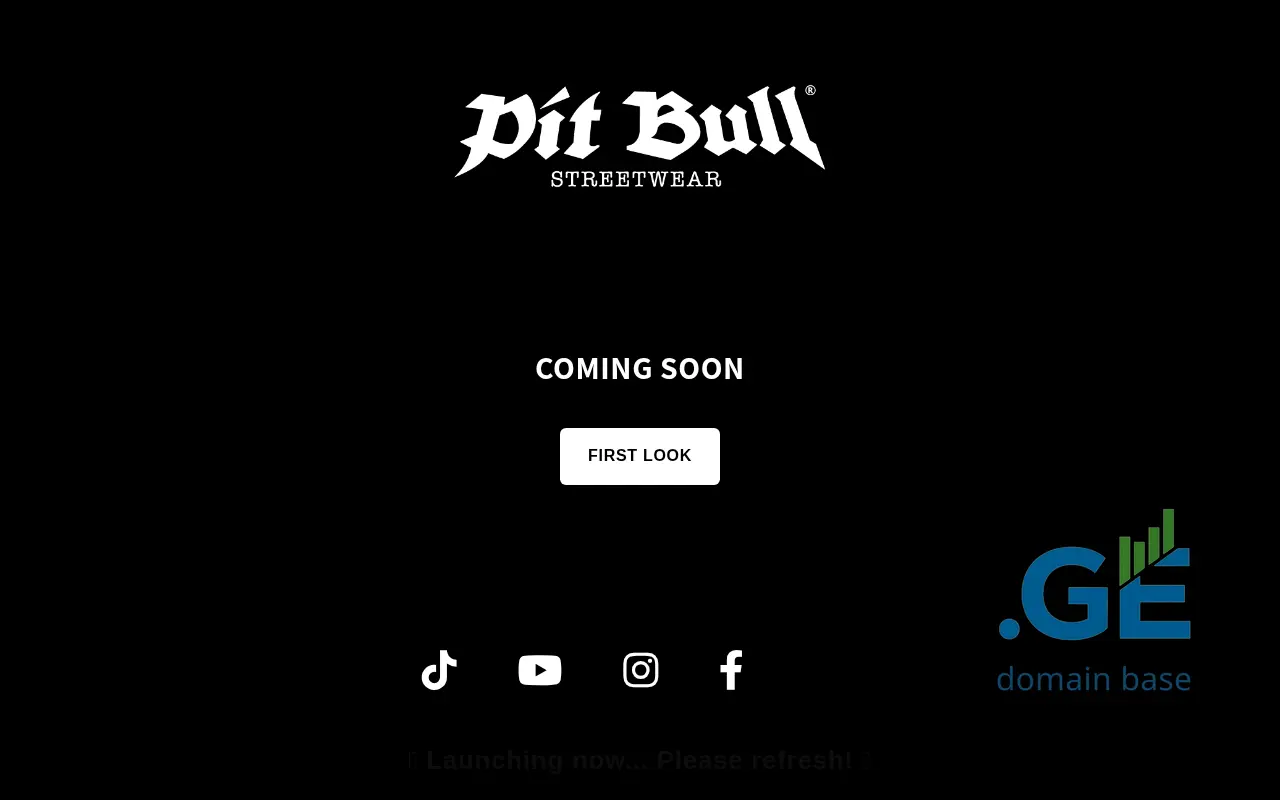 Screenshot of the site pitbull.ge