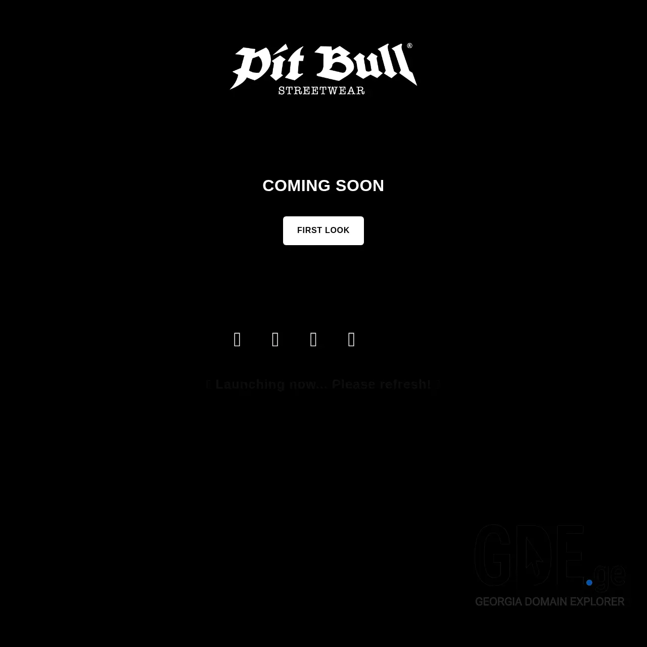 Screenshot of the site pitbull.ge at 2025-12-11