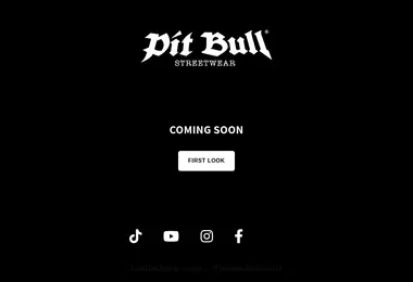 Screenshot of pitbull.ge