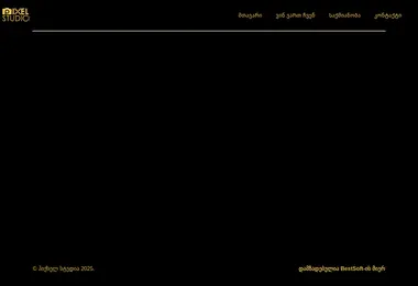 Screenshot of pixelstudio.ge