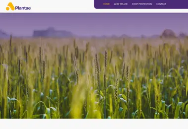 Preview from 11.12.2025