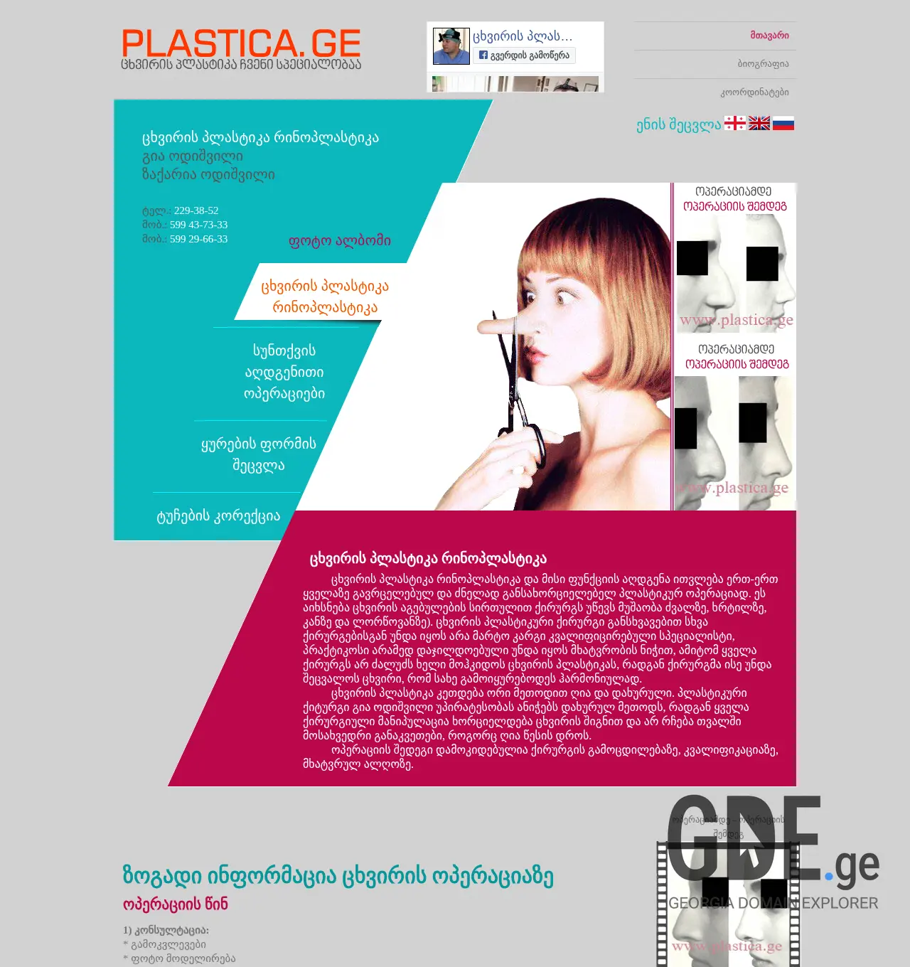 Screenshot of the site plastica.ge at 2025-12-01