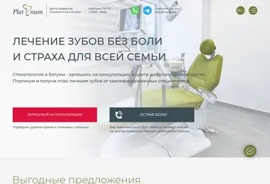 Screenshot of platinumdent.ge