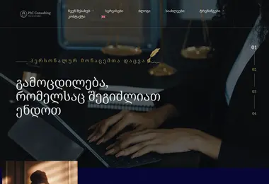 Скриншот plcconsulting.ge