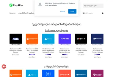 Screenshot of plugandpay.ge