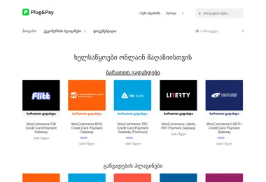 Screenshot of plugandpay.ge