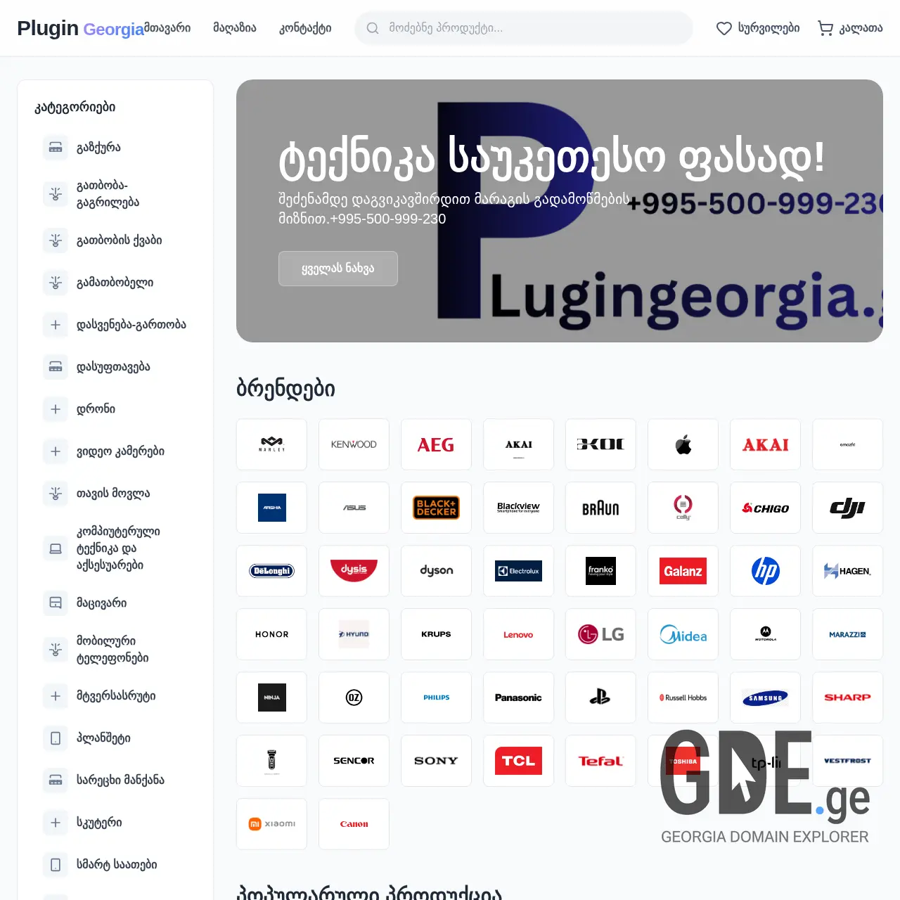 Screenshot of the site plugingeorgia.ge at 2025-12-11