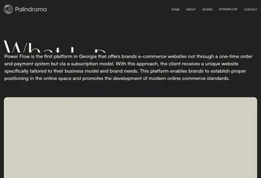 Screenshot of powerflow.ge