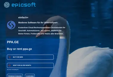 Preview from 11.12.2025