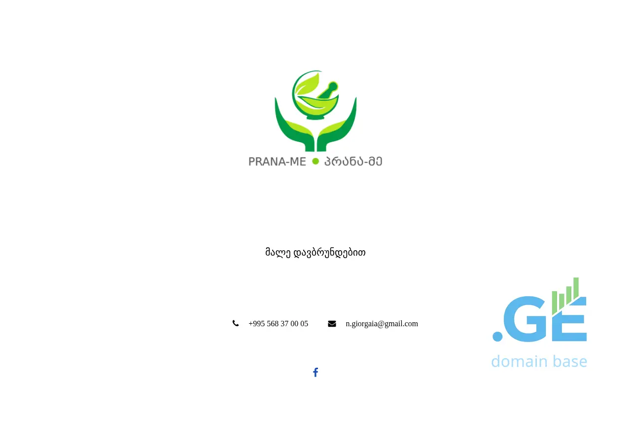 Screenshot of the site praname.ge at 2025-09-16