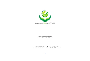 Screenshot of praname.ge
