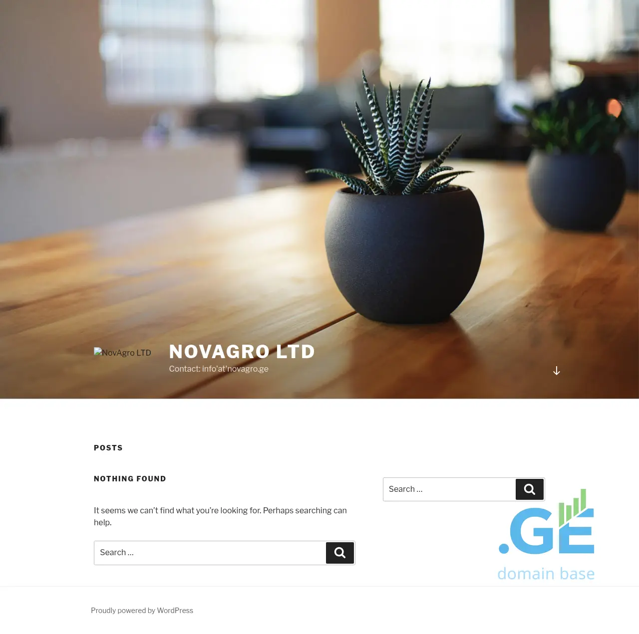 Screenshot of the site primeretail.ge