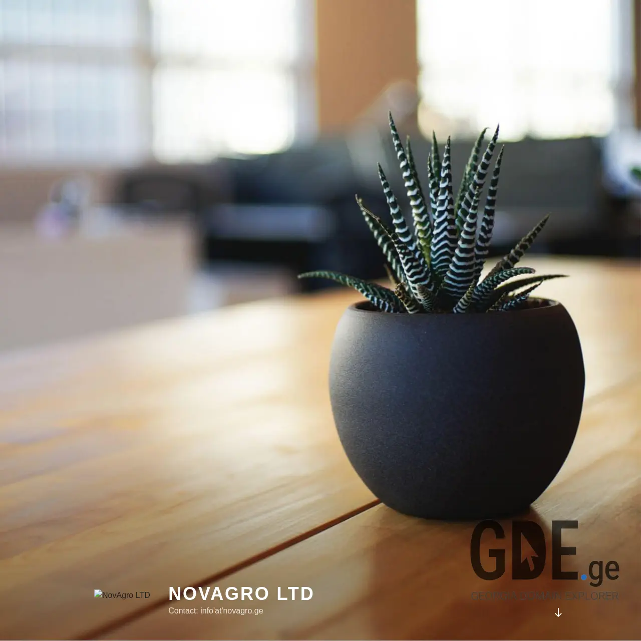 Screenshot of the site primeretail.ge at 2025-12-11