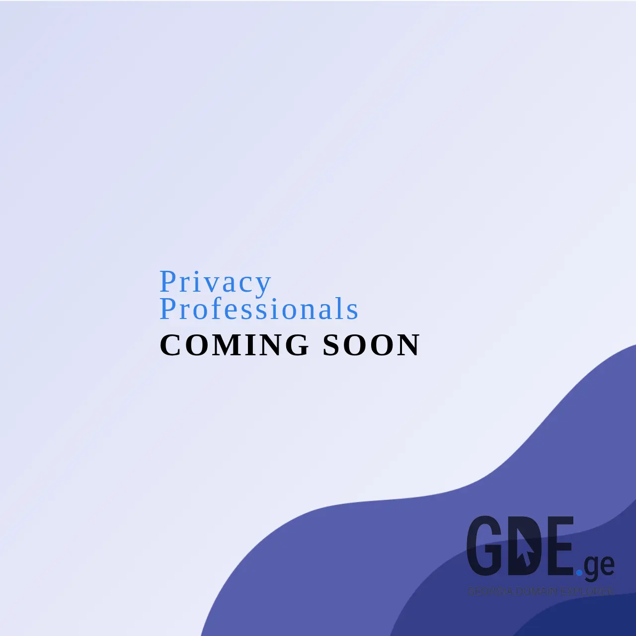 Screenshot of the site privacypros.ge at 2026-01-23