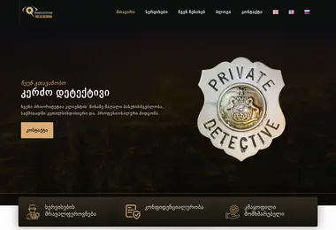 Screenshot of privatedetective.ge