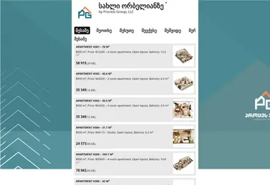 Screenshot of processgroup.ge