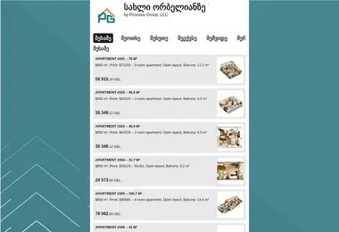 Screenshot of processgroup.ge