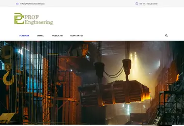Screenshot of profengineering.ge