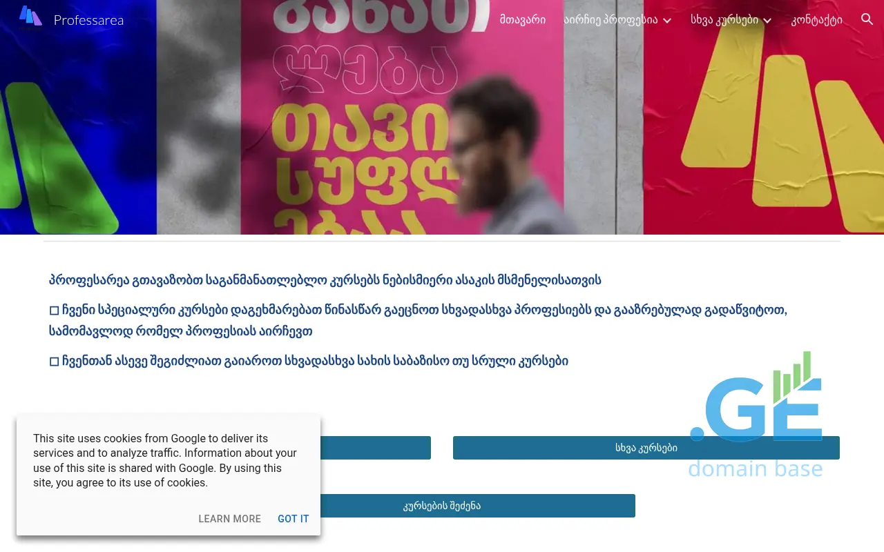 Screenshot of the site professarea.ge