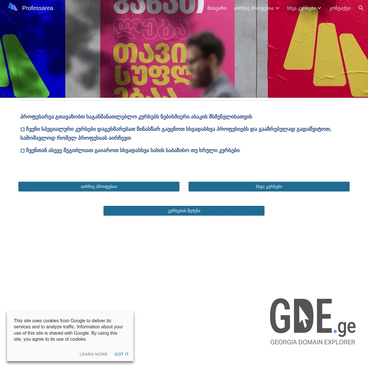 Screenshot of the site professarea.ge at 2025-12-11