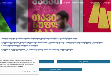 Screenshot of professarea.ge