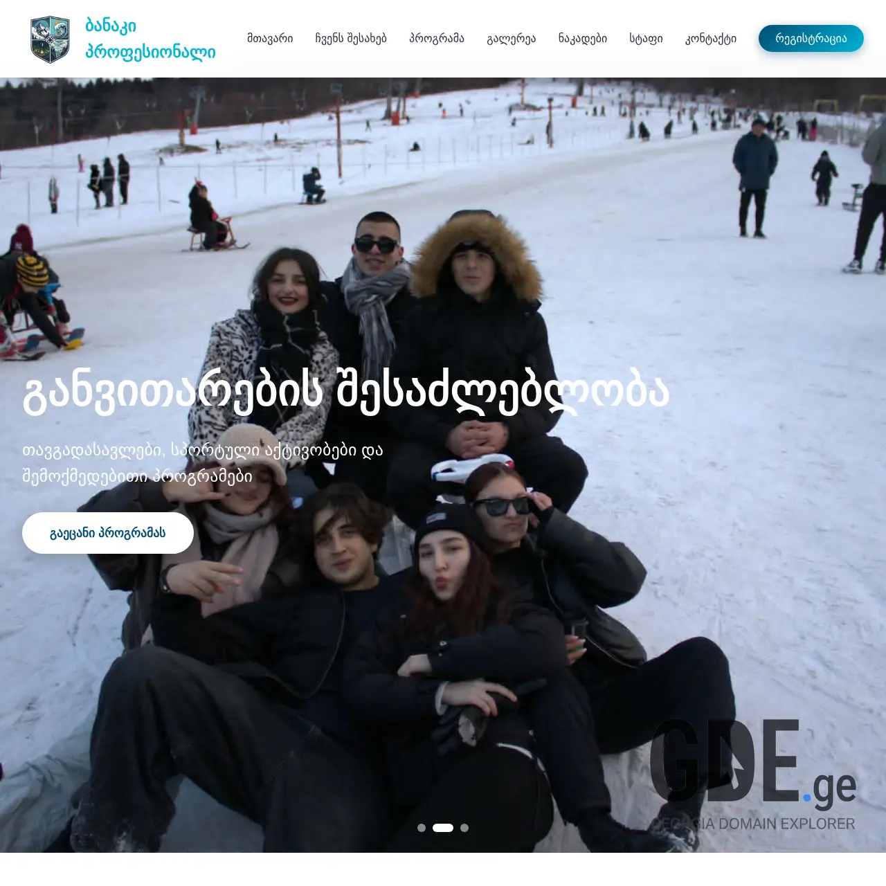 Screenshot of the site professionaliedu.ge at 2026-01-19