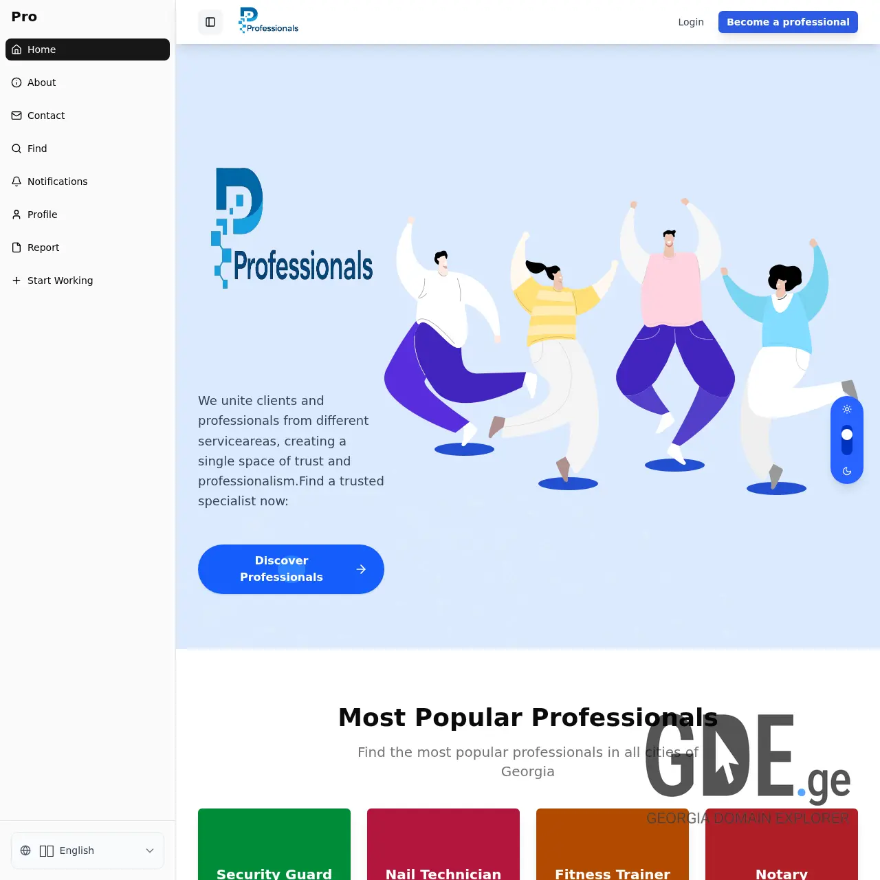 Screenshot of the site professionals.ge at 2025-12-15