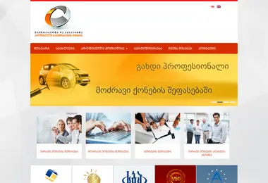Screenshot of professionals.org.ge