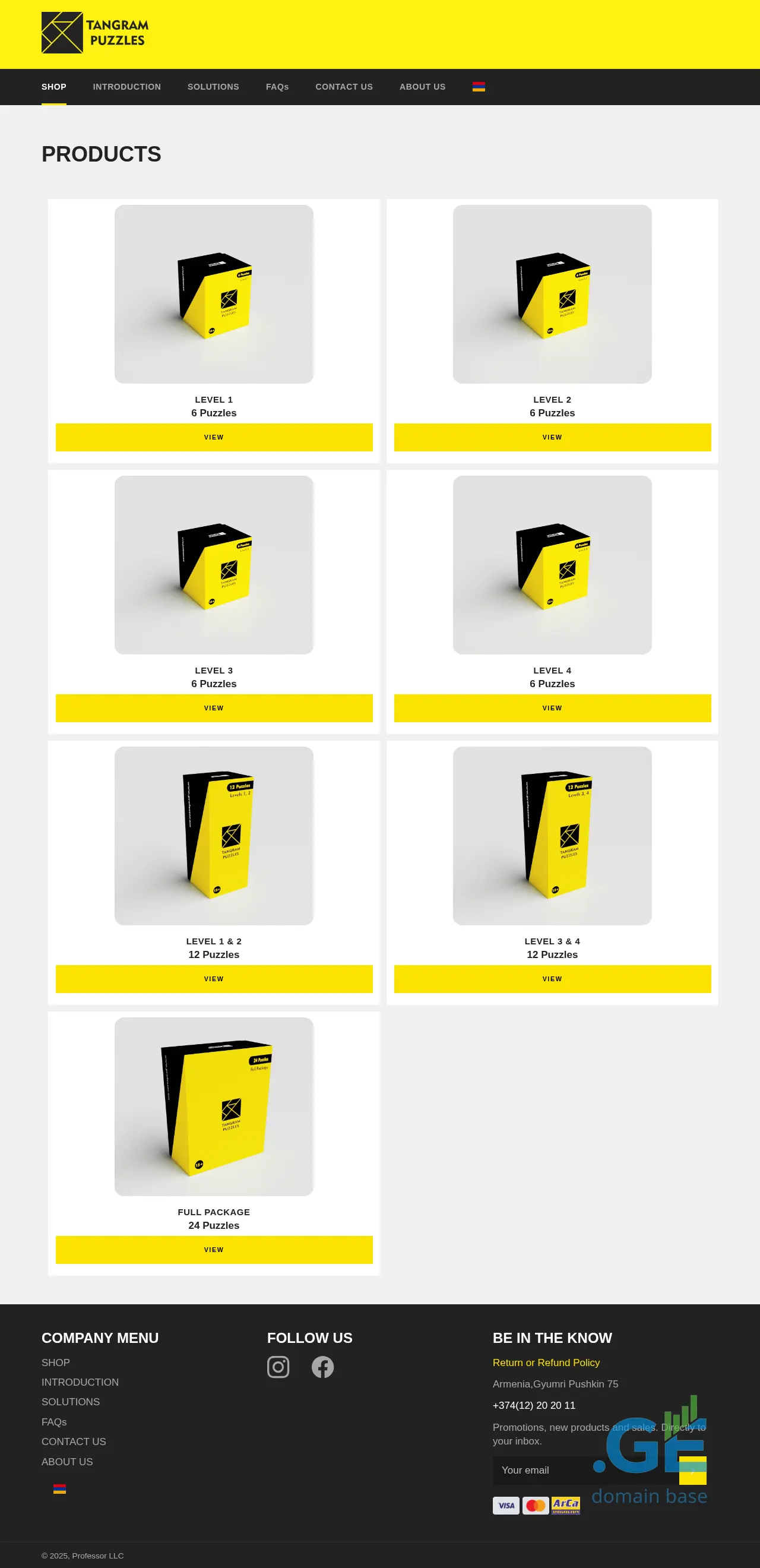 Screenshot of the site professor.ge