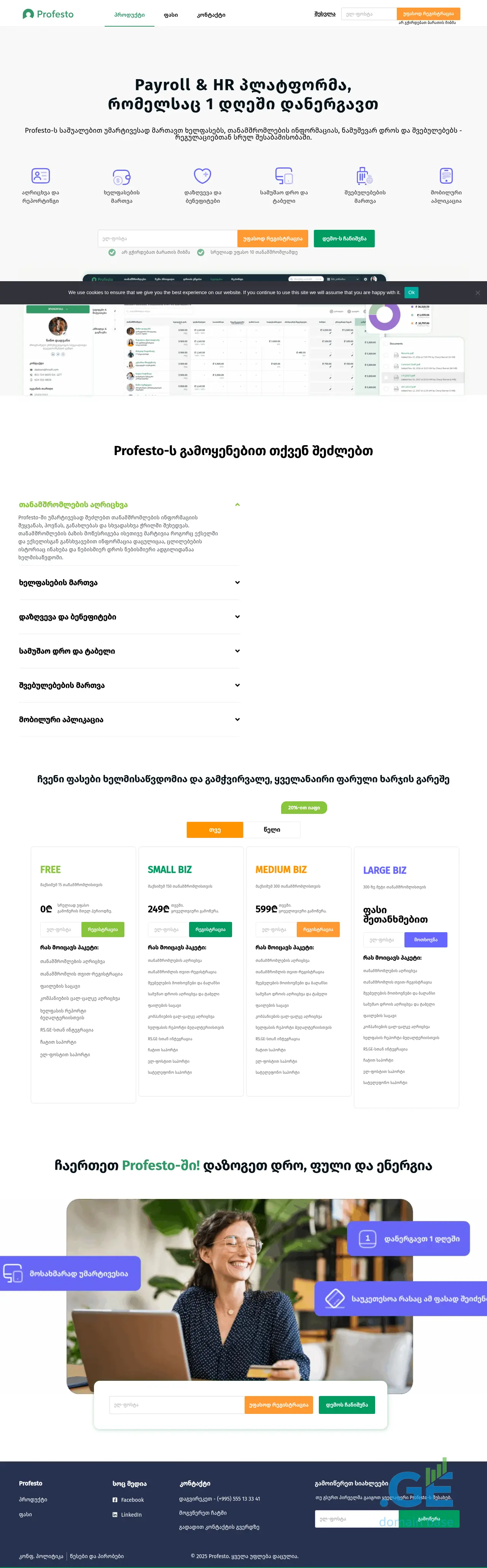 Screenshot of the site profesto.ge