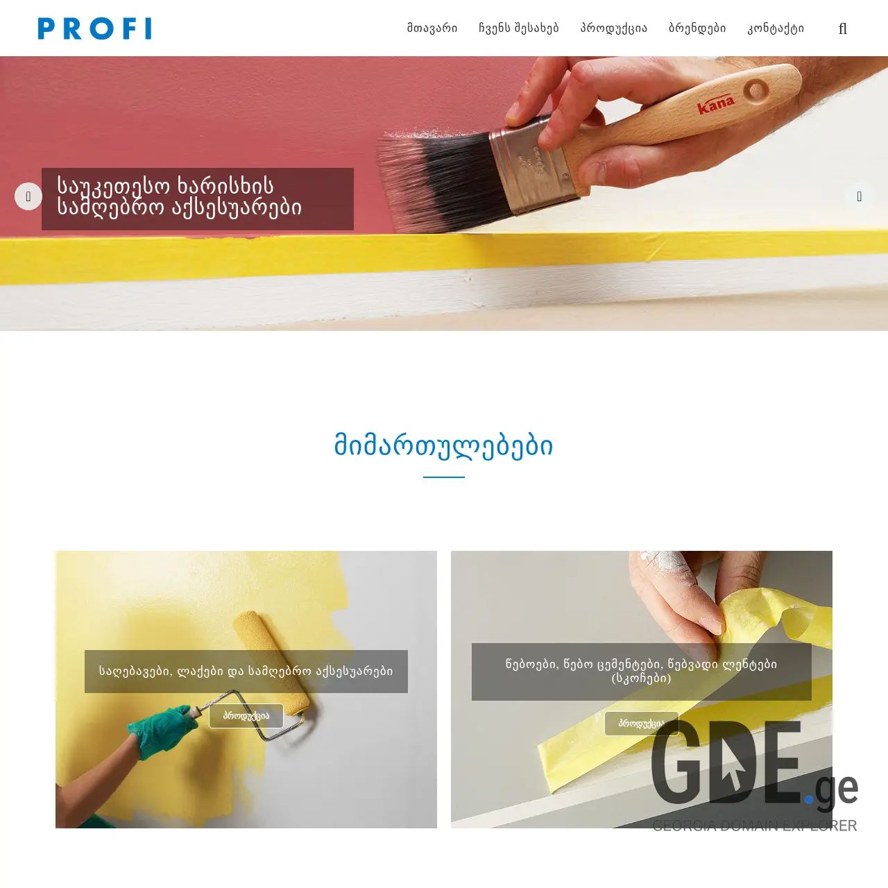 Screenshot of the site profi.ge at 2025-12-18