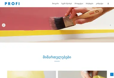 Скриншот profi.ge