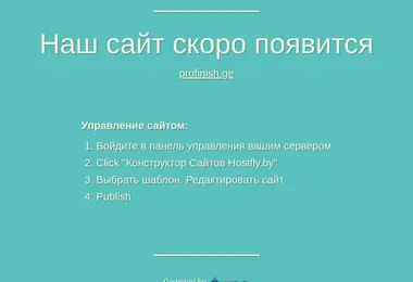 profinish.ge-ის ეკრანის სურათი