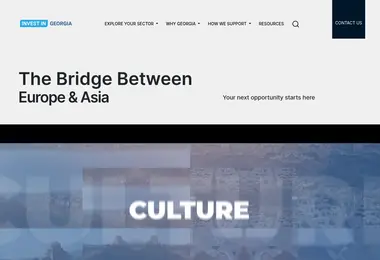 Screenshot of programs.ge