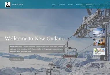 Screenshot of progudauri.ge