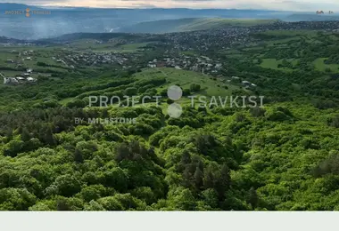 Screenshot of projecttsavkisi.ge