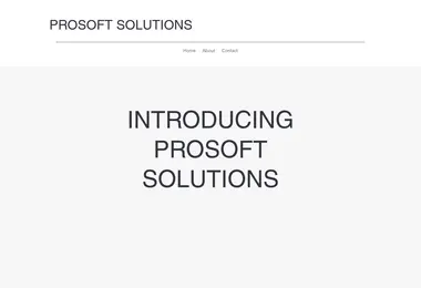 prosoft.ge-ის ეკრანის სურათი