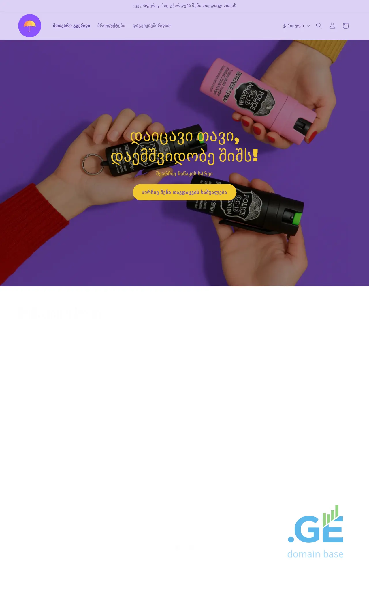 Screenshot of the site protector.ge