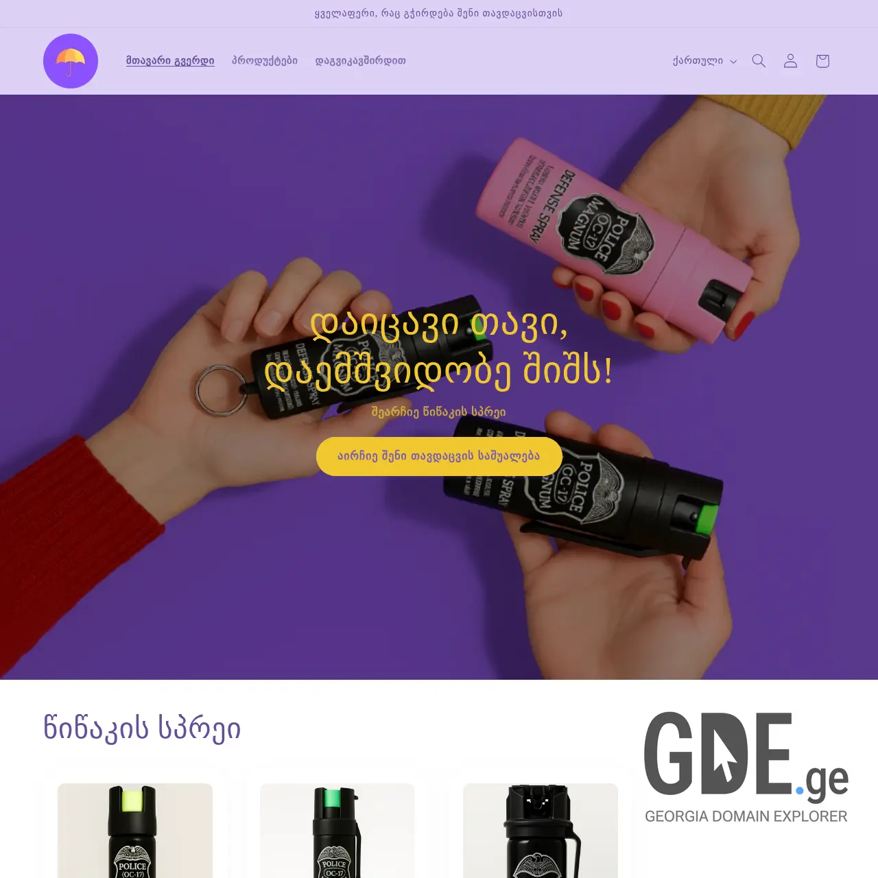 Screenshot of the site protector.ge at 2025-12-11