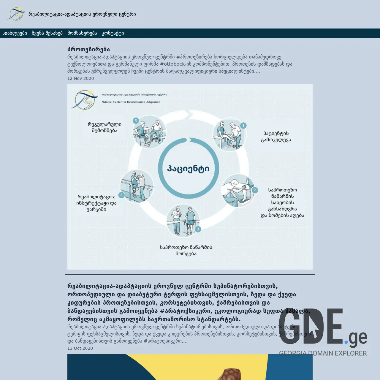 Screenshot of the site protezi.ge at 2026-02-27