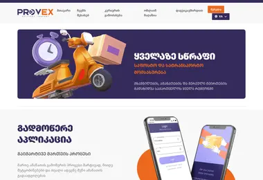 Screenshot of provex.ge