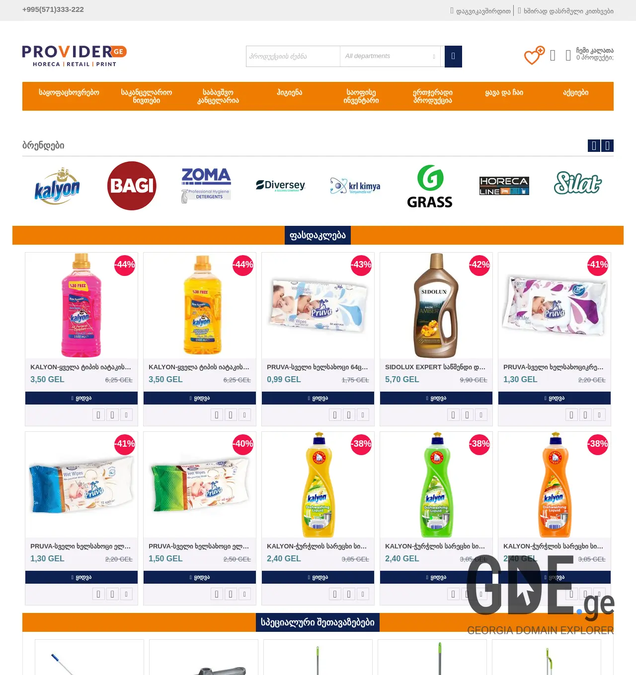 Screenshot of the site providergroup.ge at 2025-11-29