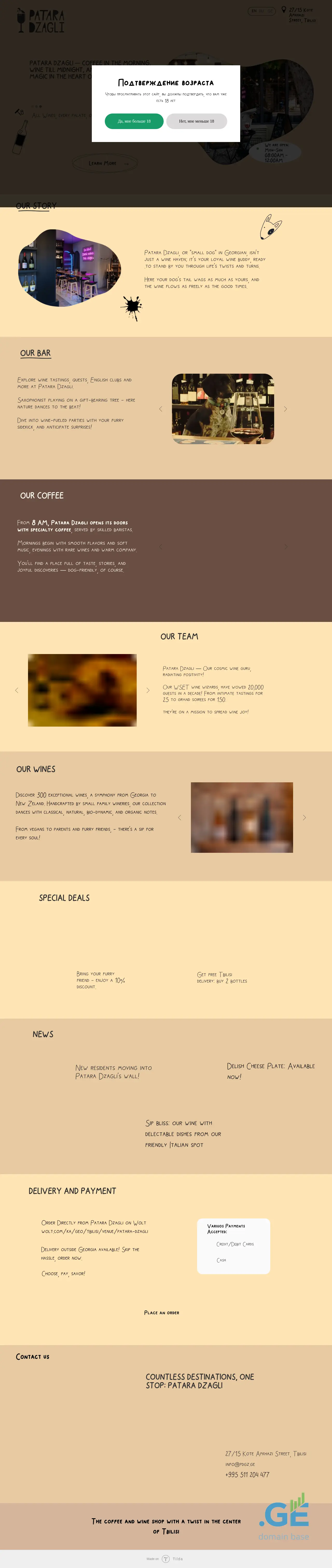Screenshot of the site ptdz.ge