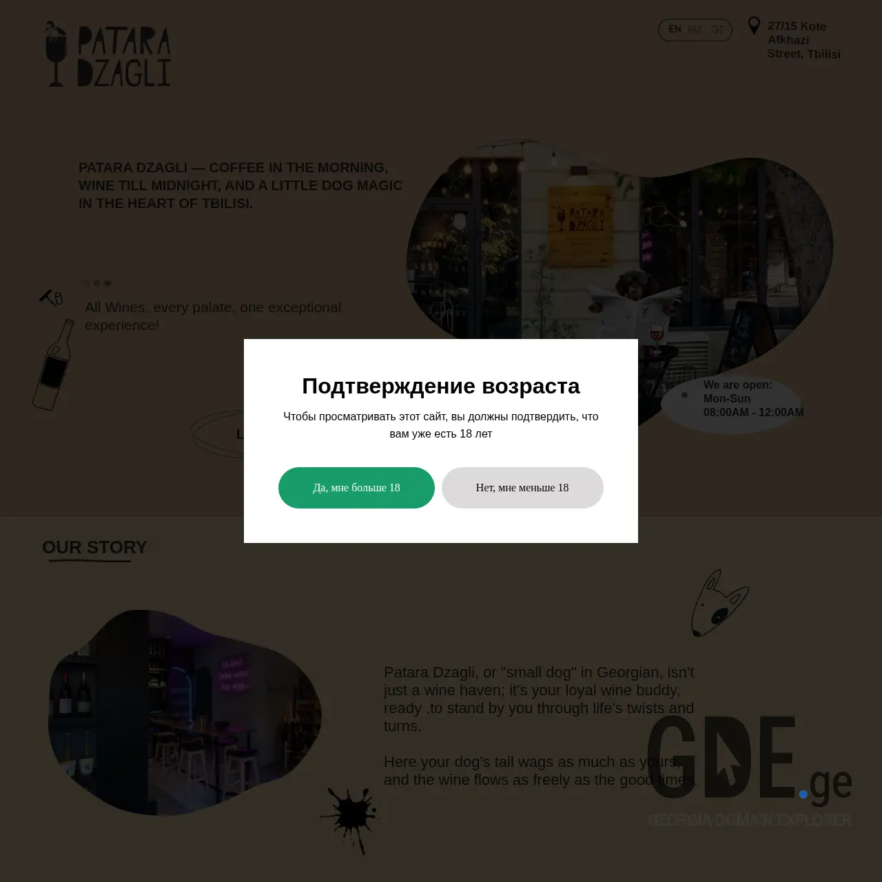 Screenshot of the site ptdz.ge at 2025-12-14